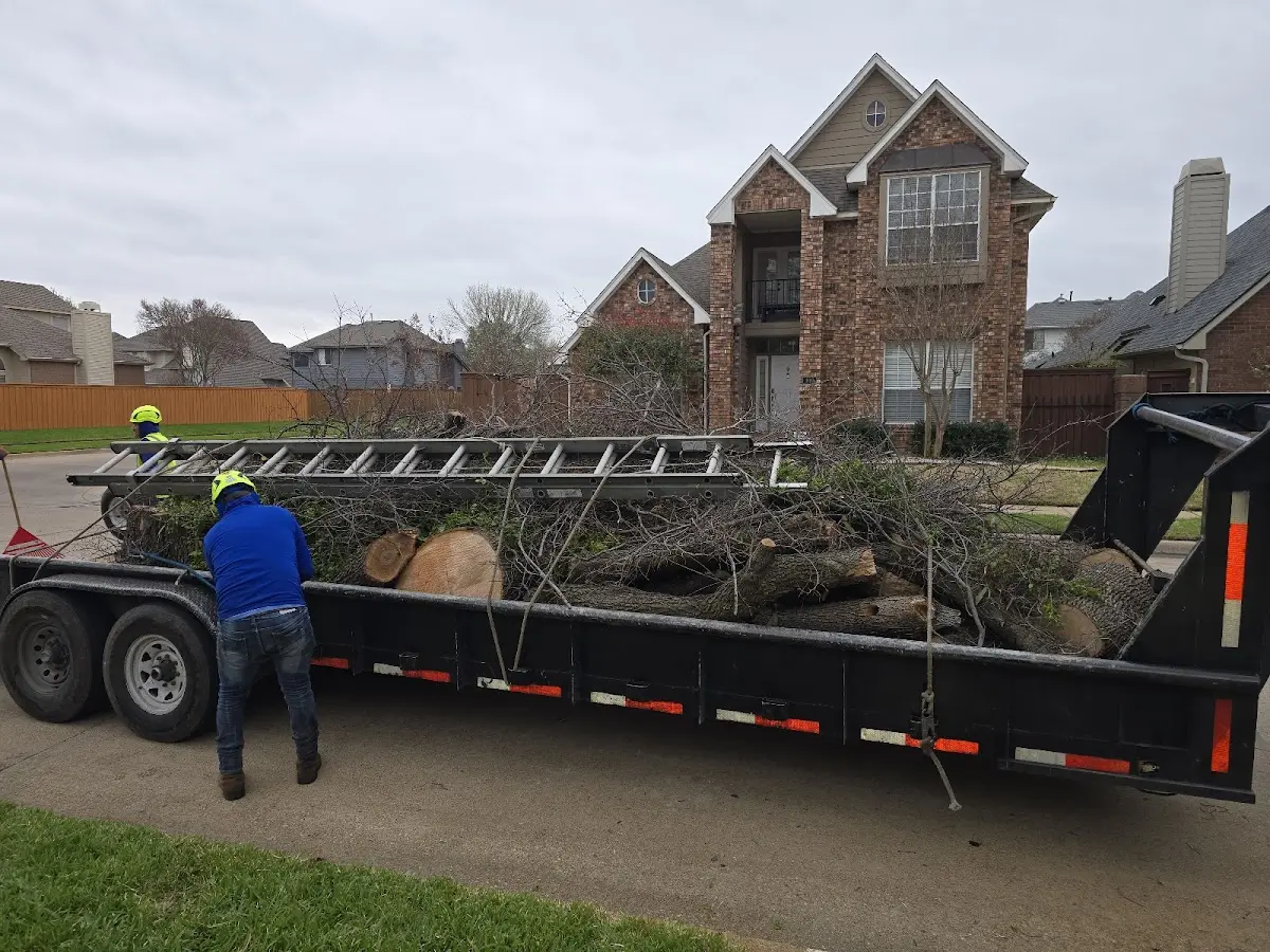 Expert Lot Clearing with proper safety equipment in Grenora
